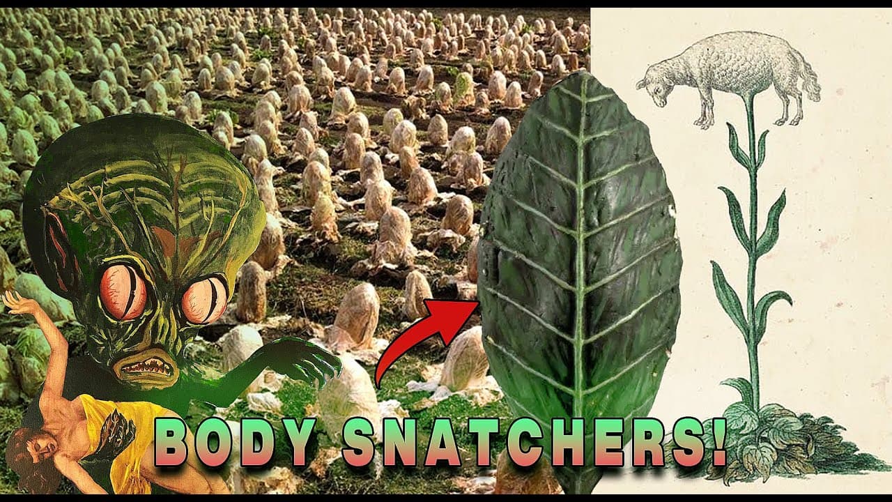 Invasion of the CABBAGES! Plant/Animal Hybrid Cloning - Parasites, "NPCs" & Resets - Lamb of Tartary