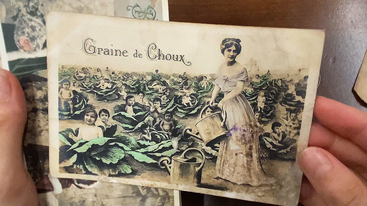 Physical Proof for Cabbage Patch Postcards / French Collection 1890-1910