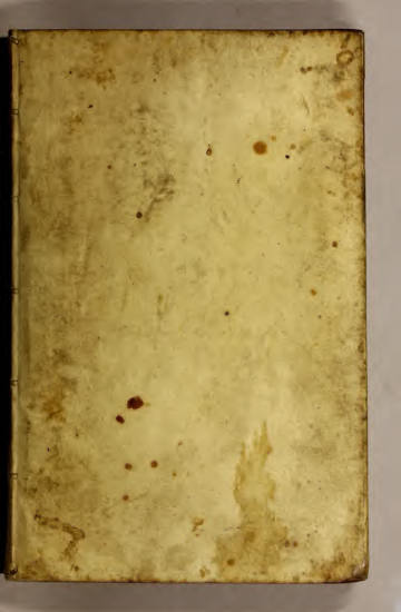 Neu-eingerichtete Material-Kammer
